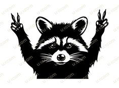 a raccoon with its hands up in the air