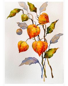 a painting of oranges and leaves on a white background