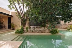 an outdoor swimming pool surrounded by trees and plants