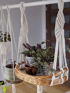 some plants that are sitting in baskets on a table and hanging from the ceiling with ropes