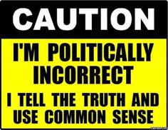 caution i'm politically incorrect i tell the truth and use common sense