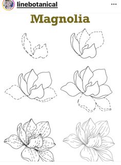 four different types of flowers on a white background