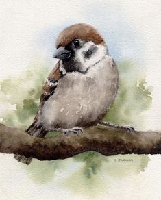 a watercolor painting of a bird sitting on a branch