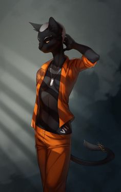 a black cat with orange pants and an orange jacket is standing in front of a dark background