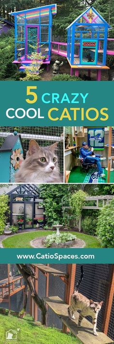 the 5 crazy cool cat houses that you can build in your backyard or garden are easy to make