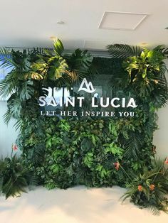 a green wall with plants and the words saint lucia let her inspire you