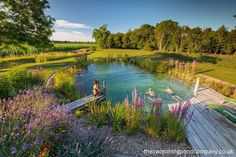 two people are swimming in the water near a wooden dock and purple wildflowers