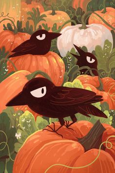 three black birds sitting on top of pumpkins