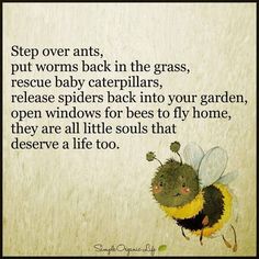 an insect poem with the words,'step over ants, put worms back in the grass, rescue baby caterpillars, release spiders back into your garden, open windows for bees to fly