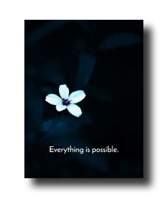 a white flower with the words everything is possible