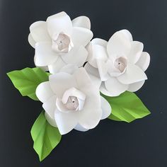 three white paper flowers with green leaves on a black background, one is cut in half and the other two are folded