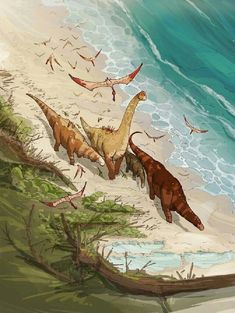 an artist's rendering of dinosaurs walking on the beach