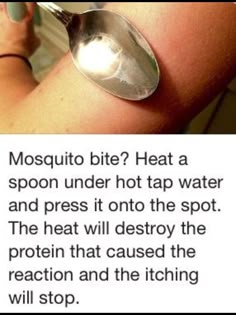 Mosquito bite Remedies For Mosquito Bites, 1000 Lifehacks, Sick Remedies, Mosquito Bites, Survival Life Hacks, Mosquito Bite, Survival Life, Eucalyptus Oil