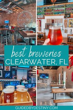 the best brewers in clearwater, fl for craft beer and cider tasting