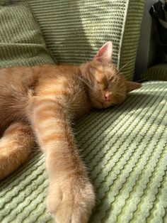 an orange cat sleeping on top of a green couch