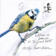 a blue and yellow bird sitting on top of a tree branch next to a postage stamp