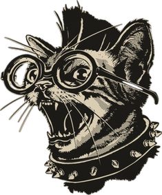 an image of a cat with glasses on it's head and its mouth open