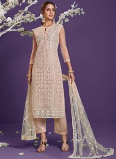 Ethnic Plus is offering Peach Lucknowi Work Net Party Wear Straight Salwar Suit available at affordable prices. Product Price:- ₹2,999.00 Party Wear Salwar, Celana Fashion, Cotton Decor, Kurta Dress, Silk Bottoms, Embroidered Wedding, Net Dupatta, Designer Dresses Indian