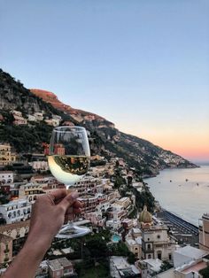 a person holding up a glass of wine in front of a city and the ocean