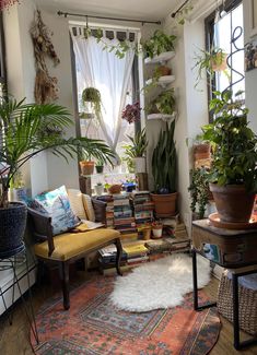 a living room filled with lots of plants and furniture