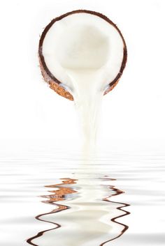 a coconut is being dropped into the water