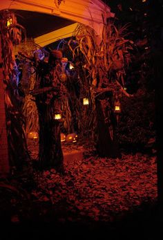 an outdoor area lit up at night with candles in the trees and leaves on the ground