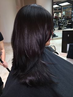 #avedaIBW Black Hair With Purple Tint Dark, Eggplant Black Hair, Black Tint Hair, Redish Black Hair Dark, Black Hair With Purple Undertones, Black Hair Red Undertones, Almost Black Hair Color, Eggplant Hair Color Dark, Black Hair With Red Undertones