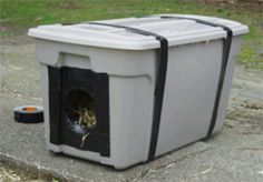 a cat is sitting in an outdoor litter box