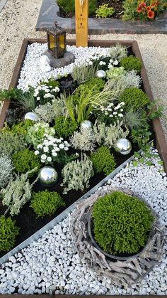 an assortment of plants and rocks in a wooden box on the ground with a lantern