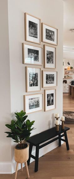 a black bench sitting in front of a wall with pictures on it and a potted plant next to it