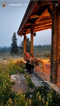 a person sitting on a porch with a dog next to them and the sun setting