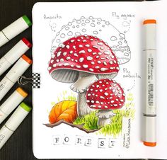 a drawing of two mushrooms with the word forest written below them and four markers next to it