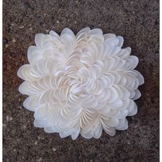 a large white flower sitting on top of a floor