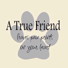 a dog's paw with the words, a true friend leaves paw prints on your heart