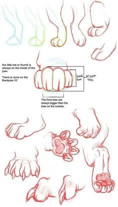 how to draw hands and feet with colored pencils on white paper, step by step instructions