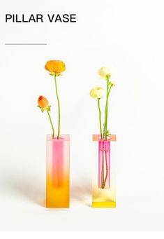 two vases with flowers in them sitting side by side on a white background and the words pillar vase written below