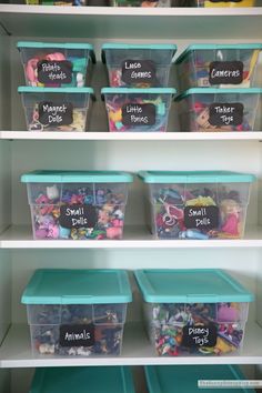 the shelves have plastic containers with labels on them that read, shelve toys