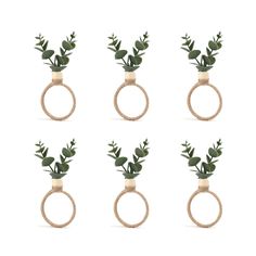 six wooden rings with plants in them on a white background, set of four different sizes