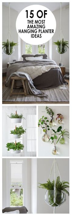 a collage of photos with plants hanging from the ceiling and in front of a bed