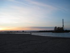 a person is flying a kite on the beach