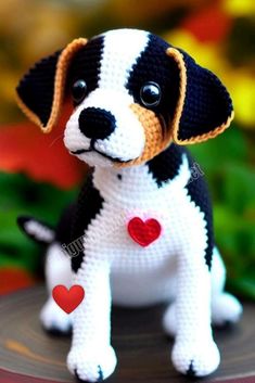 a small black and white dog sitting on top of a table