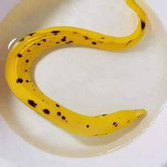 a yellow and black object sitting on top of a white plate