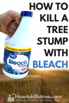 a hand holding a bottle of bleach on top of a tree stump