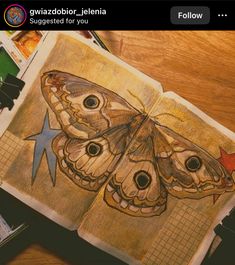 an open book with a butterfly drawn on it