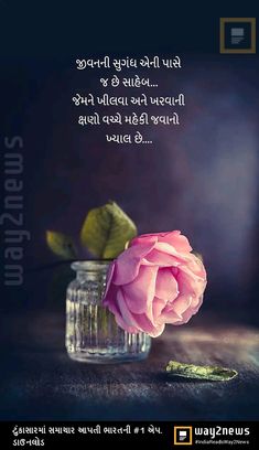 a pink rose sitting in a glass vase on top of a table with words written below it