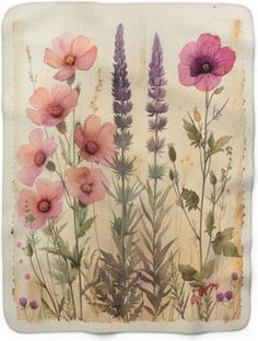 a painting of pink flowers and lavenders on a white background with faded edges,