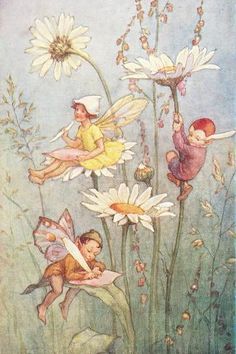 two fairy children sitting on daisies in the middle of a flower field with flowers