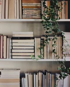 several books are on shelves with plants growing out of the top one and bottom two