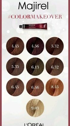 Loreal Hair Color Brown, French Brown Hair, Professional Hair Color Chart, Brunette Hair Color Shades, Loreal Hair Color Chart, Loreal Hair Color, Brown Hair Color Shades, Hair Color Guide, Loreal Hair