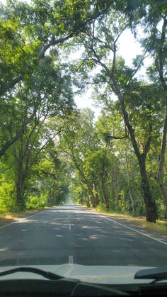 the view from inside a vehicle looking down an empty road with trees lining both sides